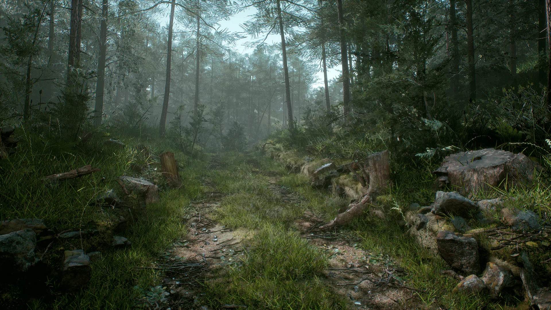 Megascans Forest Path